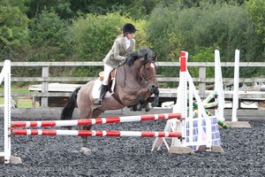 Class 5 - Fences not above 2'6